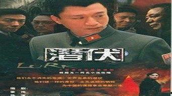 中国国产经典视频,传承与创新的艺术之旅